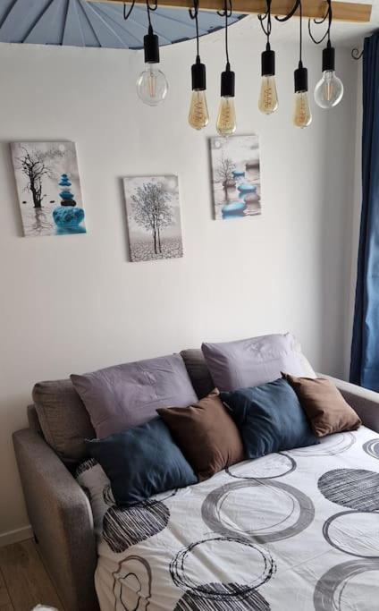 Nemo Petit Studio Cosy. Selongey Eksteriør bilde